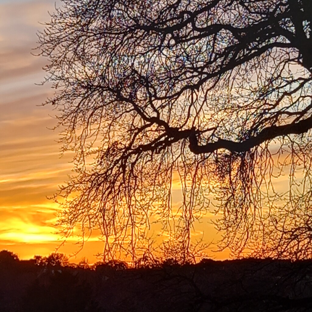 Yello sunset in January   by paddington
