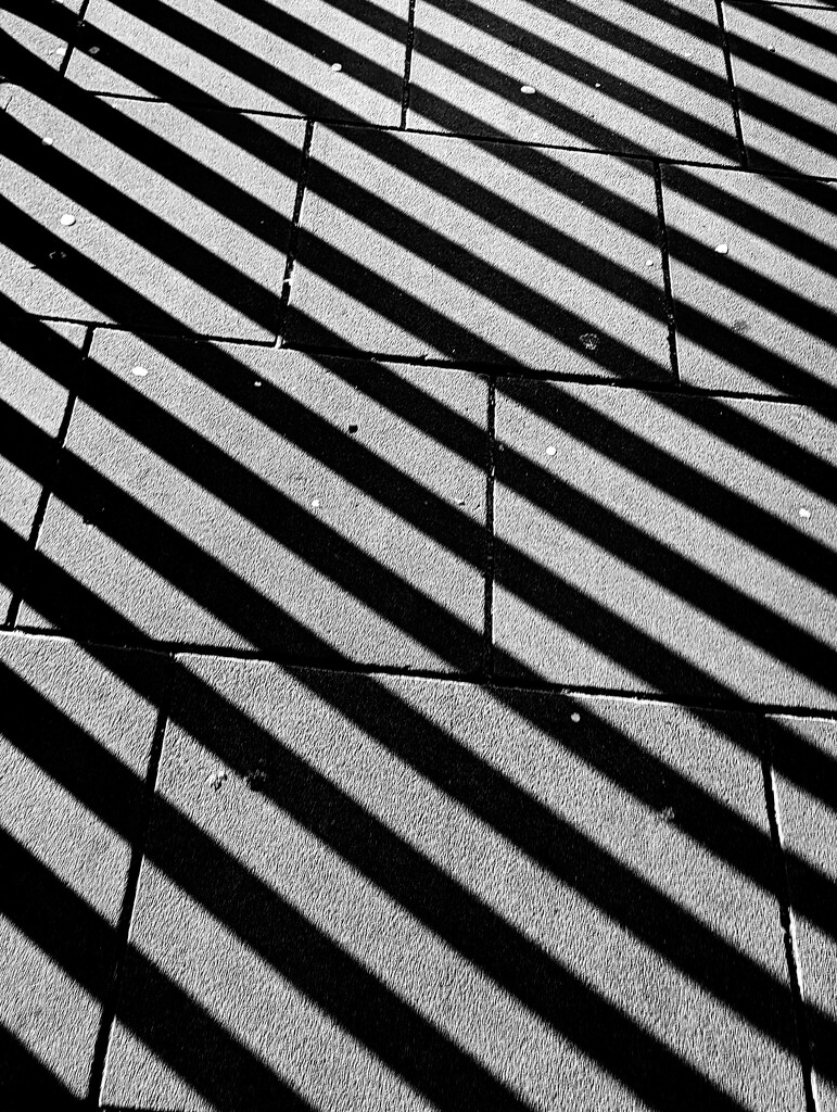 18/366 - Pavement shadows by isaacsnek