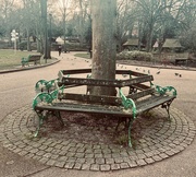 16th Jan 2024 - Stylish seating in the park