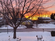 18th Jan 2024 - Sunrise Out My Window 