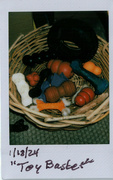 18th Jan 2024 - Toy Basket