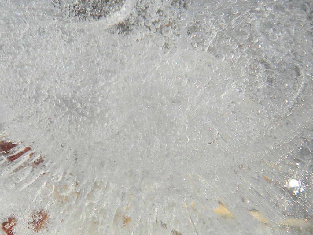Frozen Water Bottle Closeup by sfeldphotos