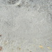 Frozen Water Bottle Closeup by sfeldphotos