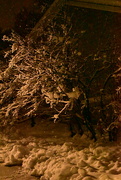 13th Jan 2024 - Nightly winter tree