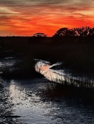 19th Jan 2024 - Marsh sunset at low tide 