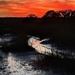 Marsh sunset at low tide  by congaree