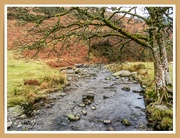 19th Jan 2024 - Mountain Stream,Wales