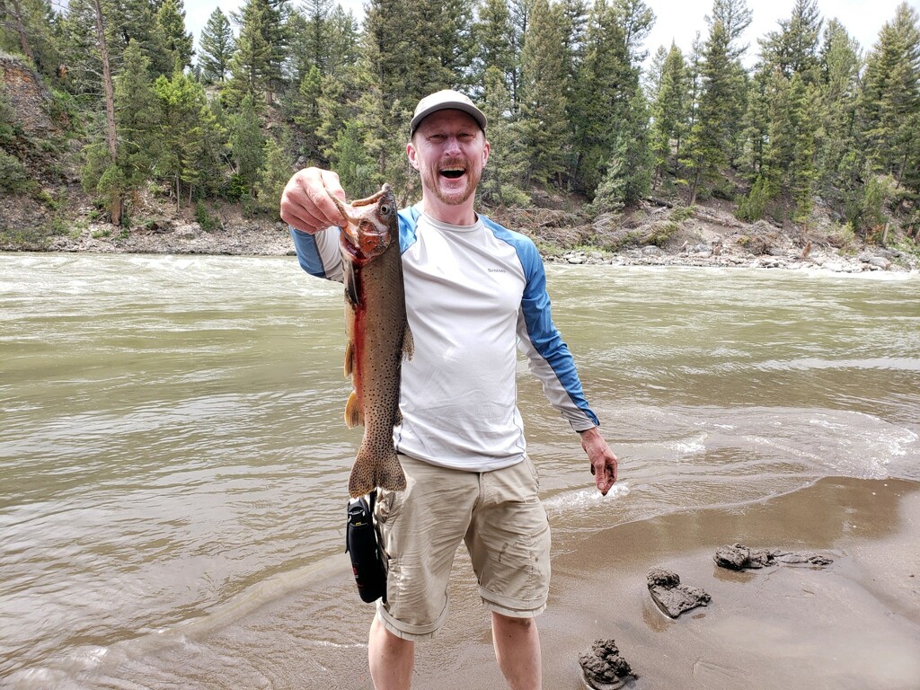 Massive Cutthroat Trout (catch and release) by harvey