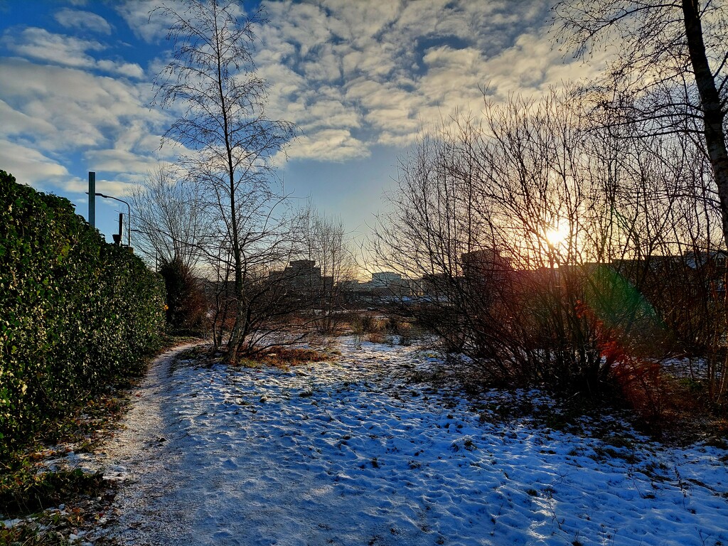 Brisk morning walk by sporenmaken