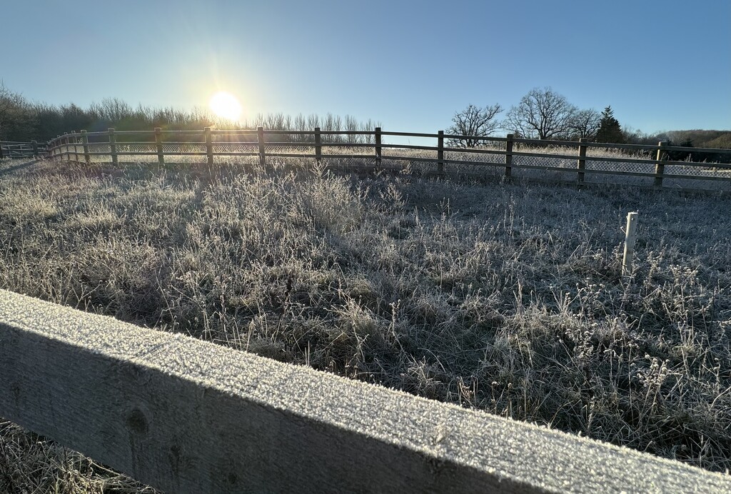 A Frosty Morning by jeremyccc