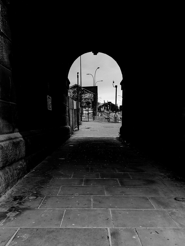 19/366 - Under the Wicker Arches, Sheffield  by isaacsnek