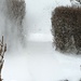 Snow Blowing by pomonavalero