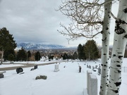 12th Jan 2024 - View from the cemetery