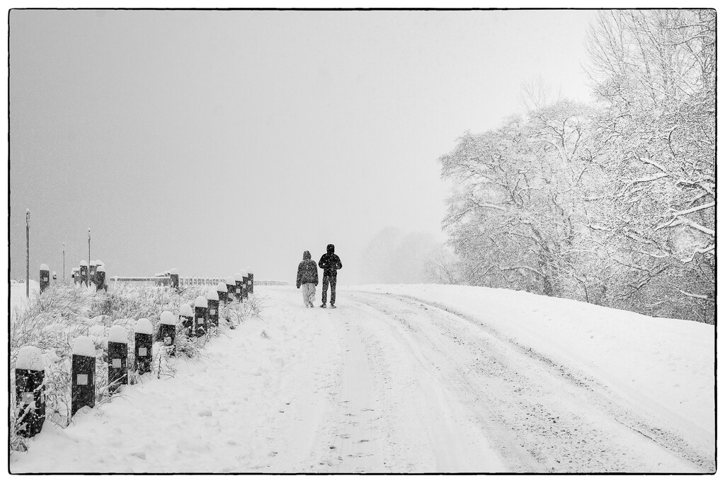 Snow Walk by cdcook48