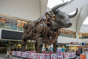 20th Jan 2024 - Ozzy the bull, Birmingham