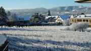 19th Jan 2024 - Schnee im Weinberg 