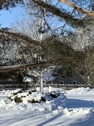 17th Jan 2024 - winter house