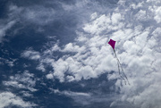 21st Jan 2024 - Let's go fly a kite, up to the highest height