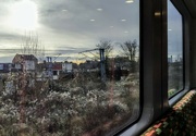 20th Jan 2024 - From the overground train 