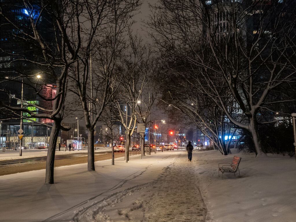Winter night in the city by haskar