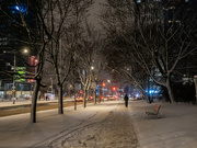 20th Jan 2024 - Winter night in the city