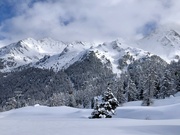 17th Jan 2024 - Alpine landscape