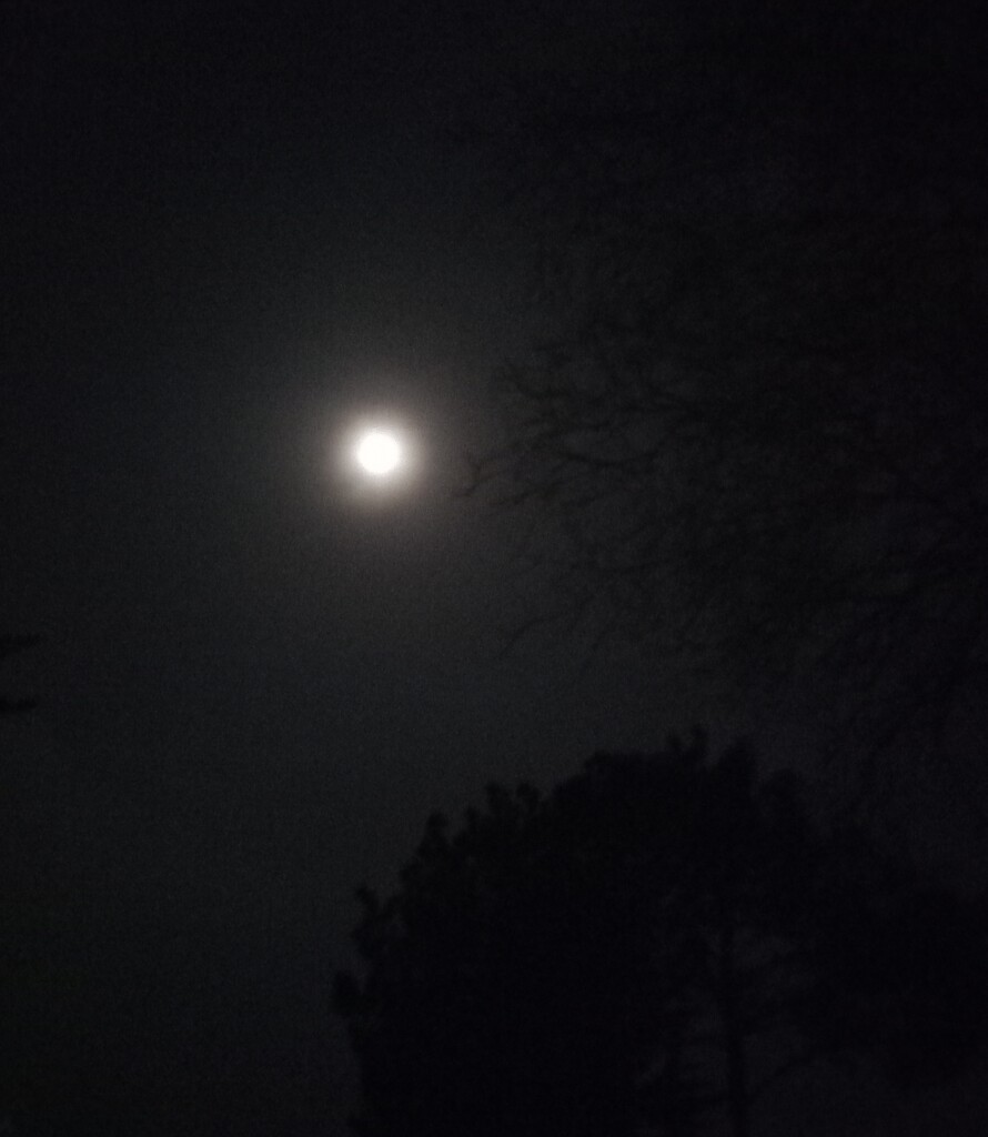 the moon in January by paddington