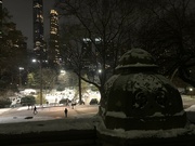 19th Jan 2024 - Skating in Central Park