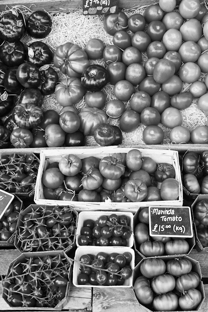 Tomatoes  by mr_jules