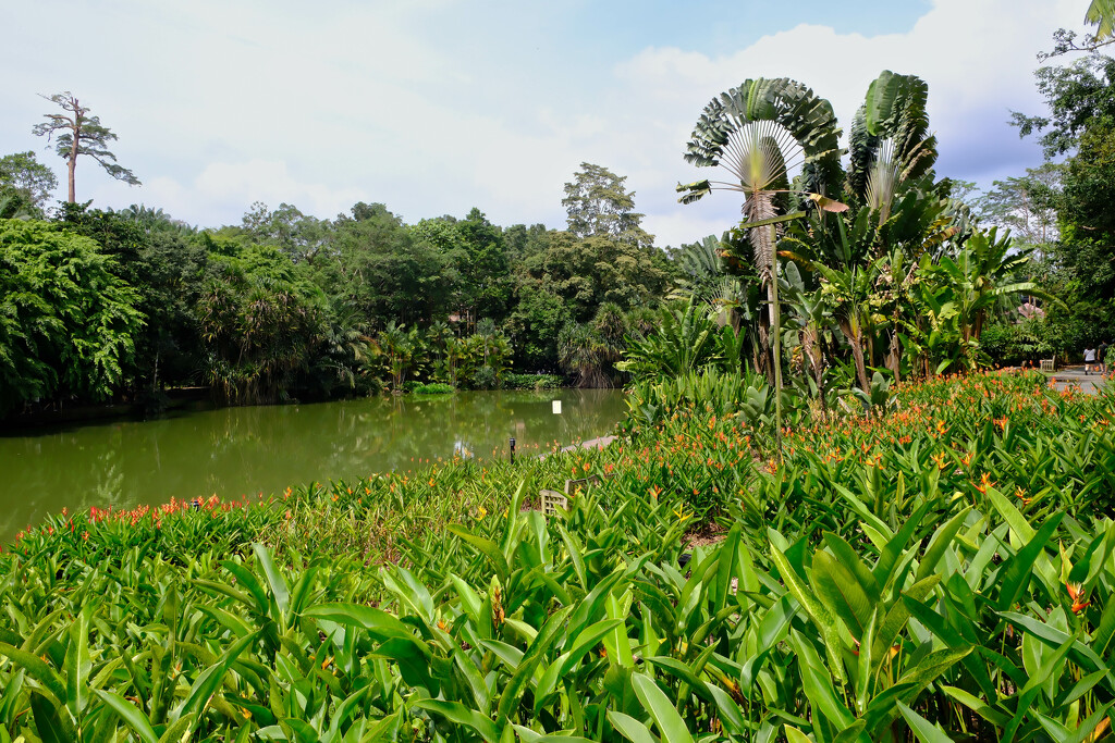 Botanic Gardens  by lumpiniman