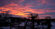 21st Jan 2024 - 01-21 - sunrise over our backyard