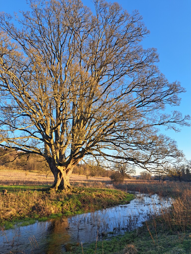 The river reappears  by jokristina