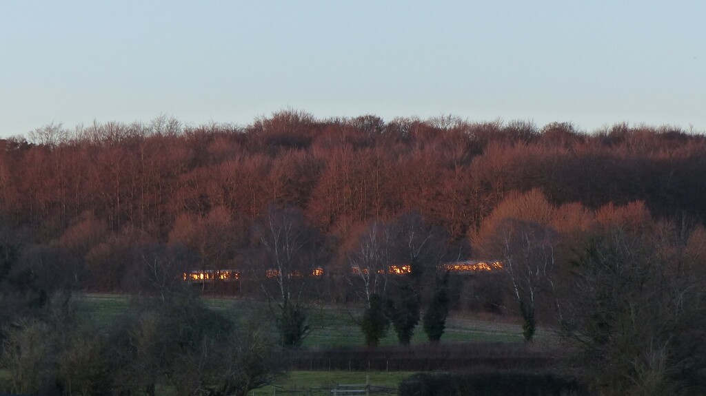 evening train in the sun by jokristina