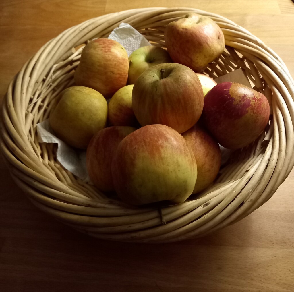 Apples  by paddington
