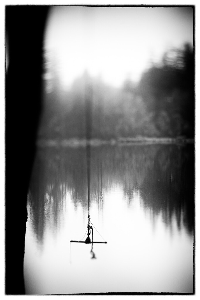 Anything B&W 27/60- The Swing by i_am_a_photographer