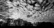 21st Jan 2024 - Woodthorpe Park : Mackerel Sky 