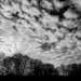 Woodthorpe Park : Mackerel Sky  by phil_howcroft