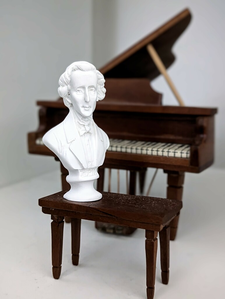 Chopin  by photohoot