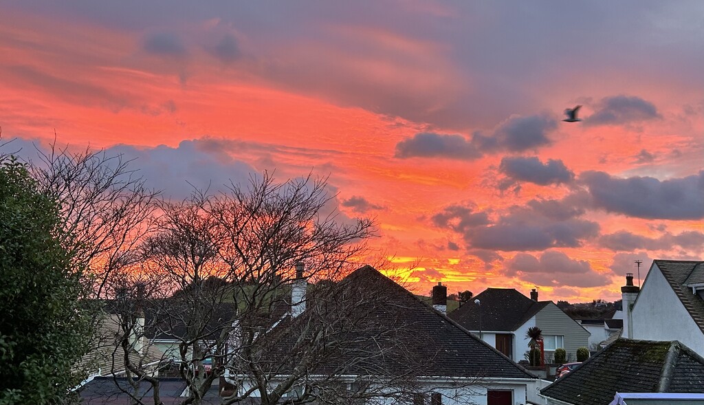 View from the kitchen window by 365_cal