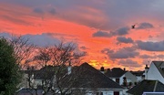 21st Jan 2024 - View from the kitchen window