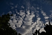 22nd Jan 2024 - More Unusual Clouds ~