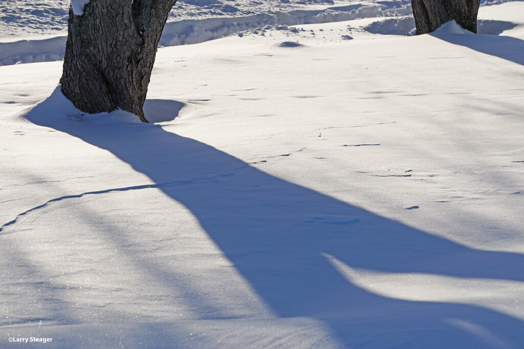 Shadows and patterns in the snow by larrysphotos