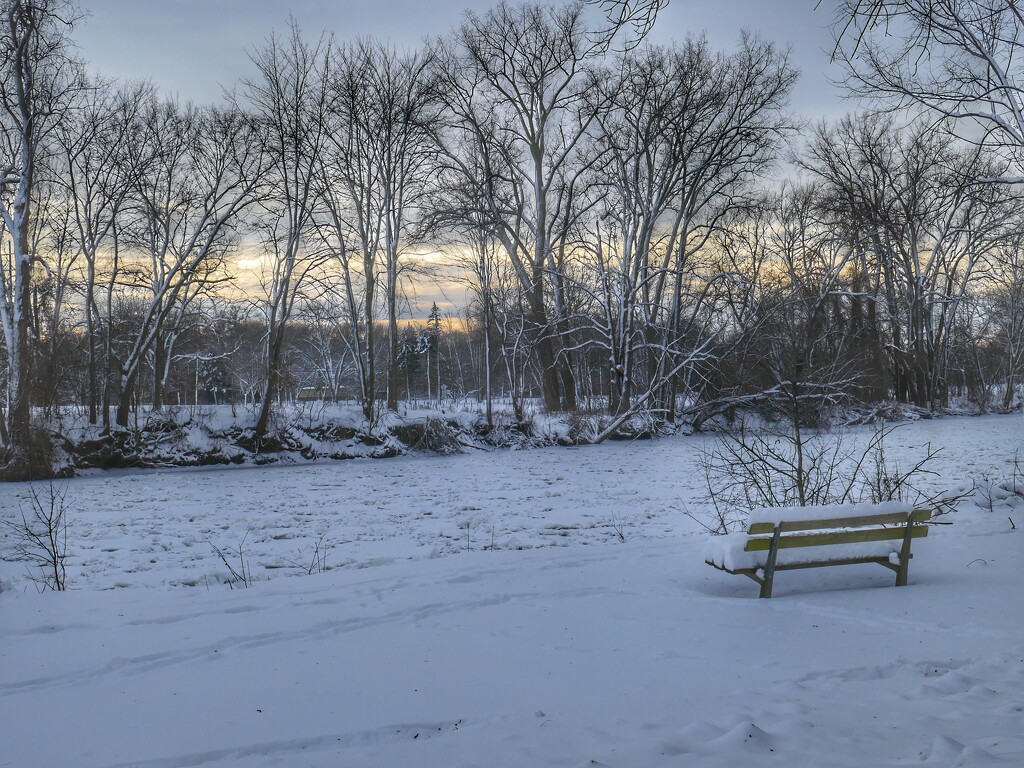 bench along the river by amyk