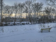 21st Jan 2024 - bench along the river