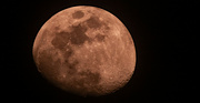 21st Jan 2024 - Tonight's Moon Shot!