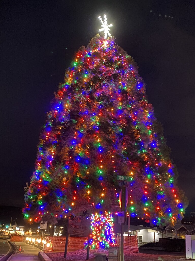 Mukilteo Christmas Tree by clay88