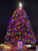 25th Dec 2023 - Mukilteo Christmas Tree