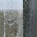 Frozen Spiderweb  by clay88