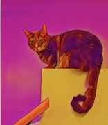 21st Jan 2024 - Colored Cat