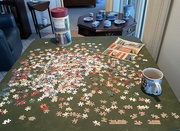 21st Jan 2024 - Starting a puzzle 